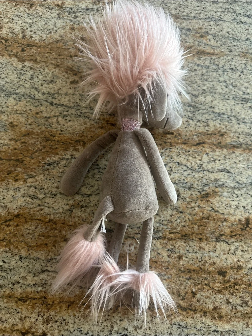 Poodle jelly cat